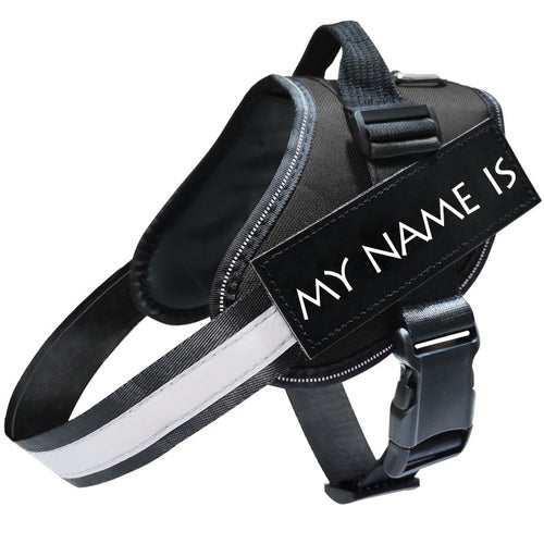 Adjustable Dog Harness with Reflective Safety Leash