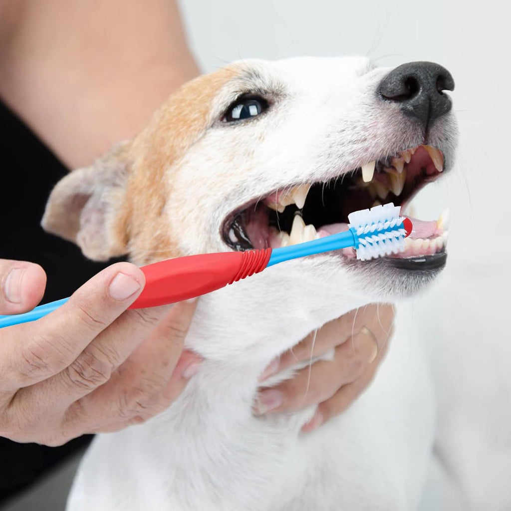 Dual-Head Pet Toothbrush – 360° Cleaning for Healthy Gums & Teeth