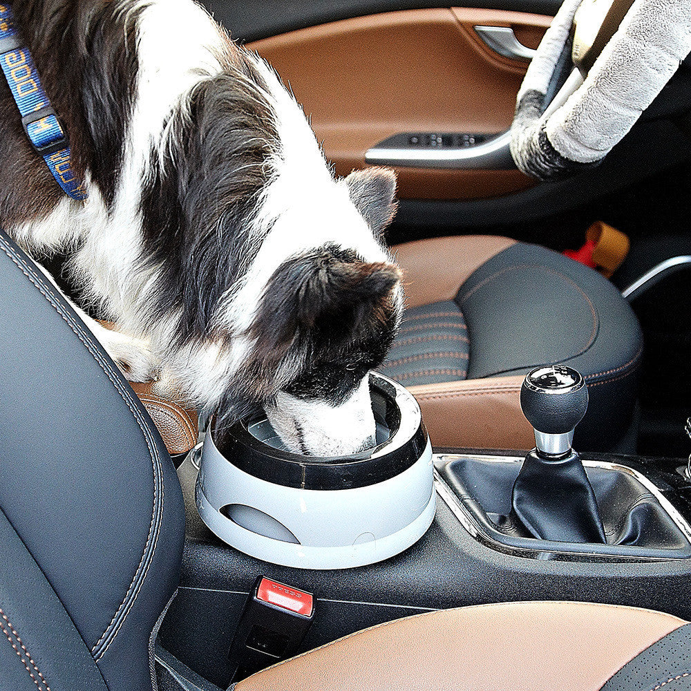 No-Spill Pet Water Bowl for Clean, Dry Floors