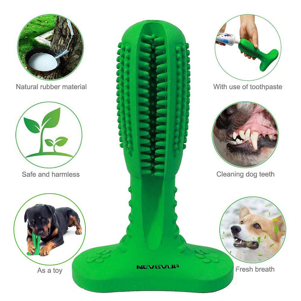 Durable Chewable Toothbrush Toy That Dogs Love