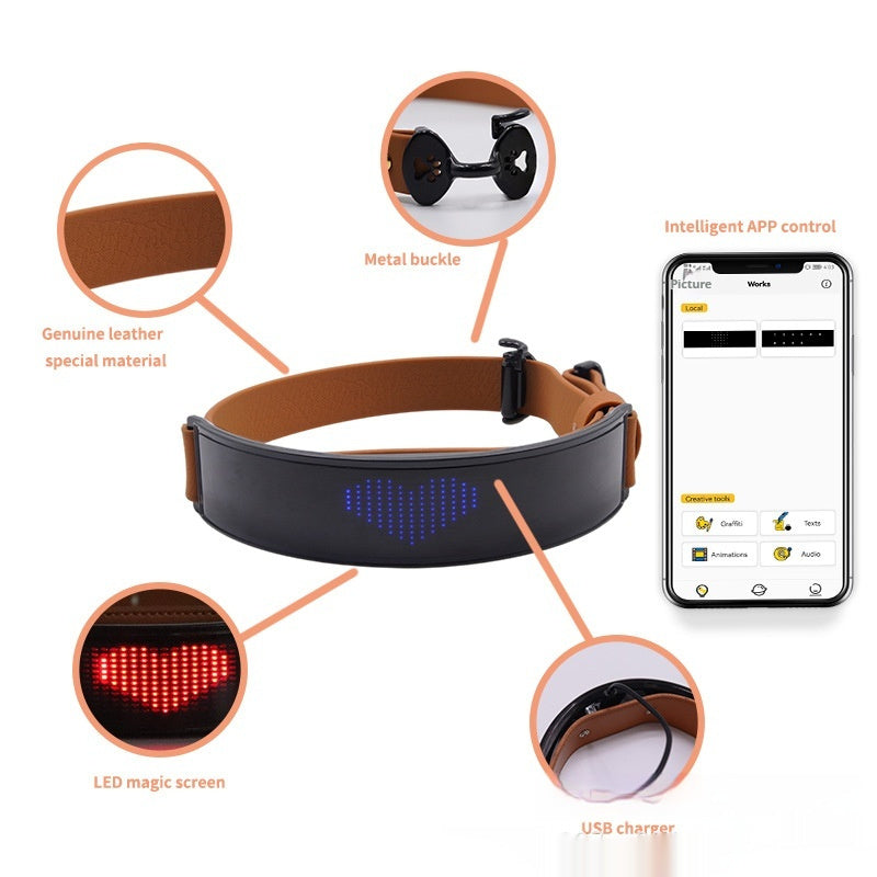 Smart LED Dog Collar/Harness – Custom Text Display for Night Safety