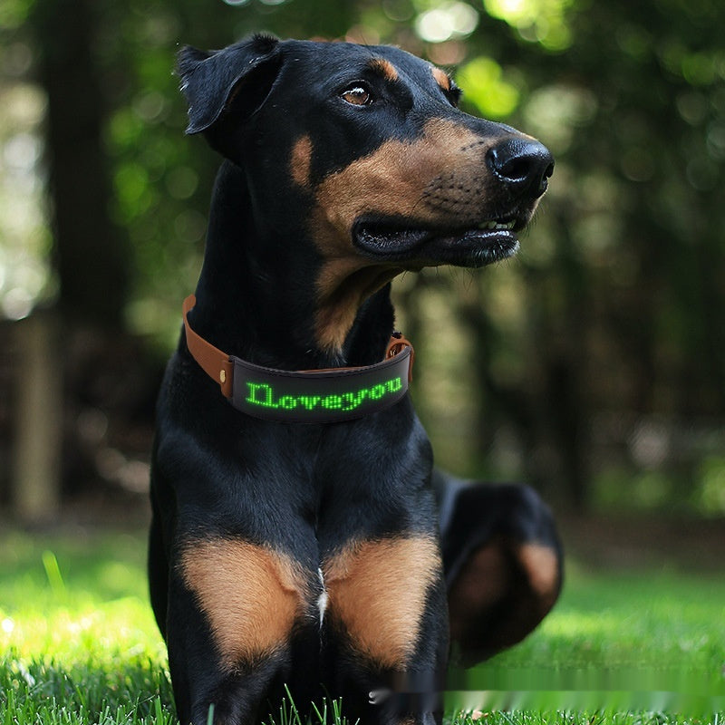 Smart LED Dog Collar/Harness – Custom Text Display for Night Safety