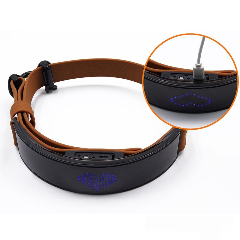 Smart LED Dog Collar/Harness – Custom Text Display for Night Safety