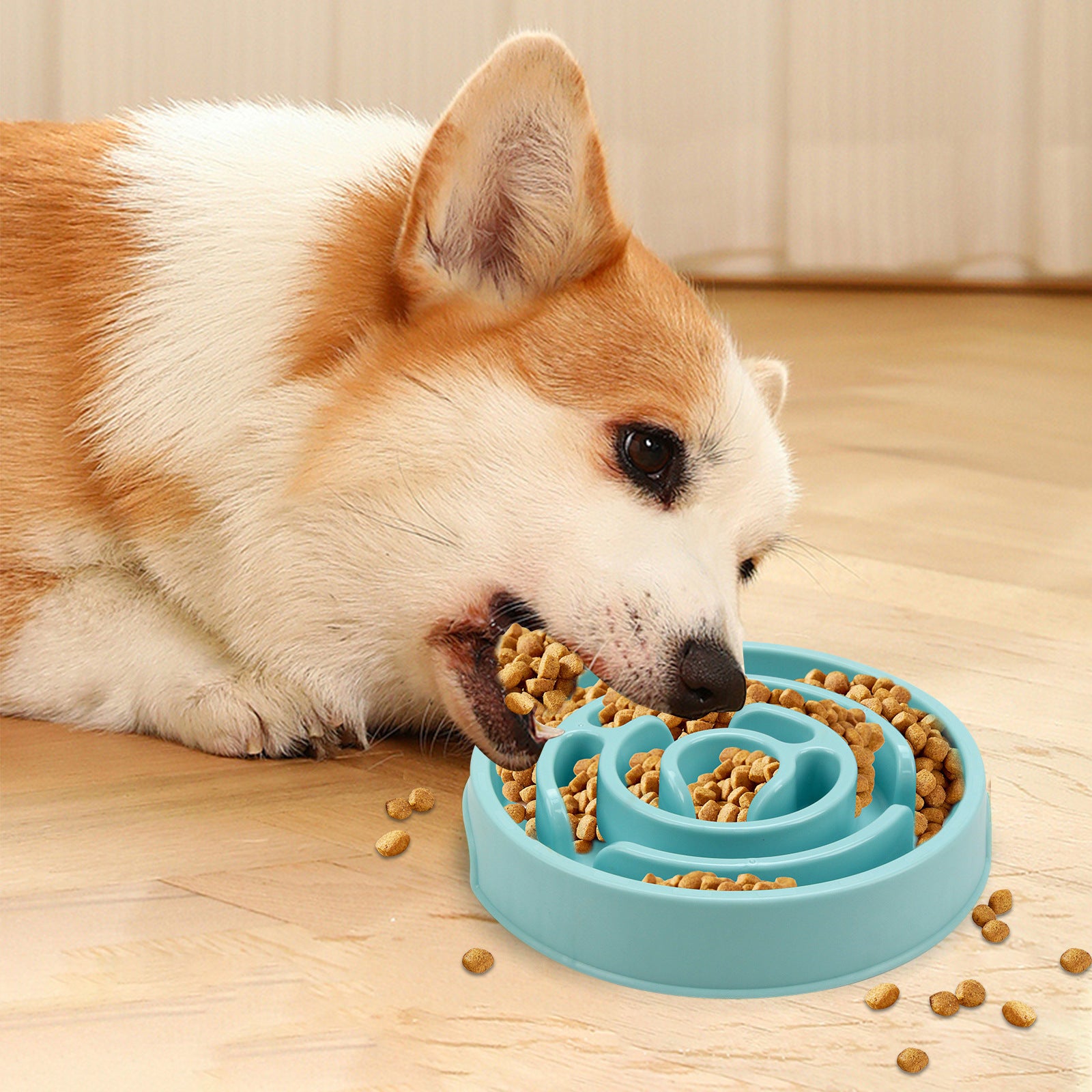 Slow Feeder Dog Bowl for Happy, Healthy Mealtimes
