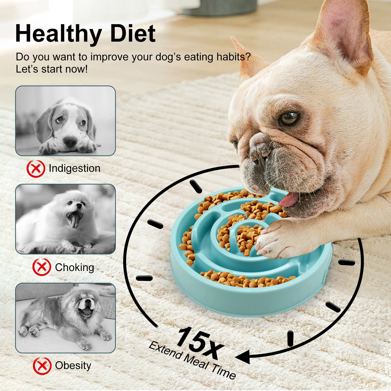 Slow Feeder Dog Bowl for Happy, Healthy Mealtimes