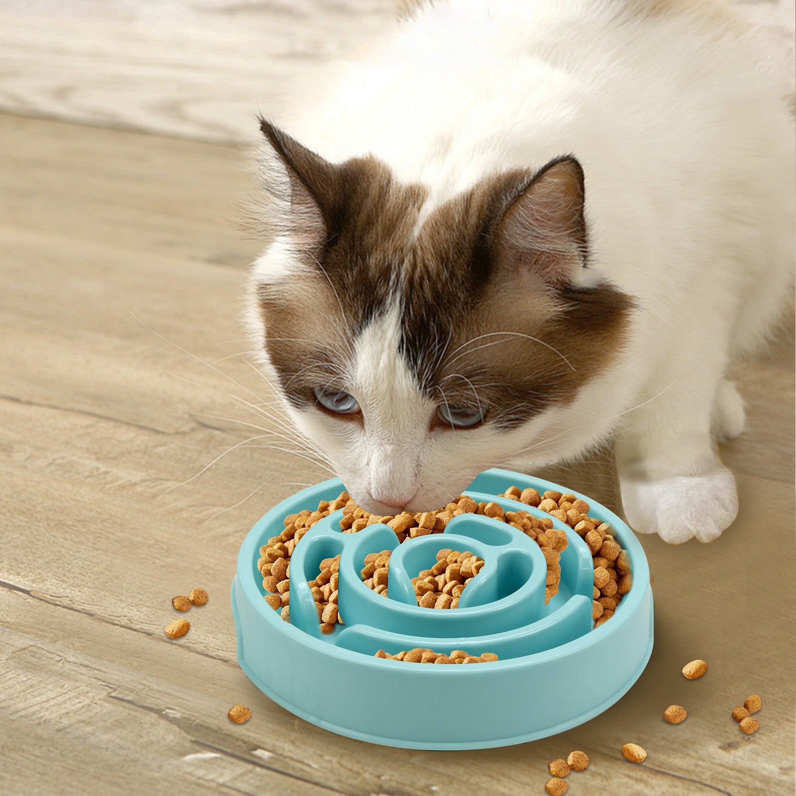 Slow Feeder Dog Bowl for Happy, Healthy Mealtimes
